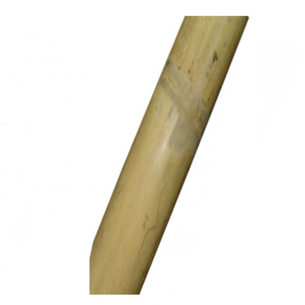 Canna bamboo mm 20/22 h 150 pz 10          arcadia